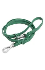 Wild One L28409 Green Spruce All-Weather Dog Leash 54 L Size S