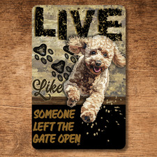 Poodle Sign Live Like Someone Left Gate or Door Open metal tin dog wall art