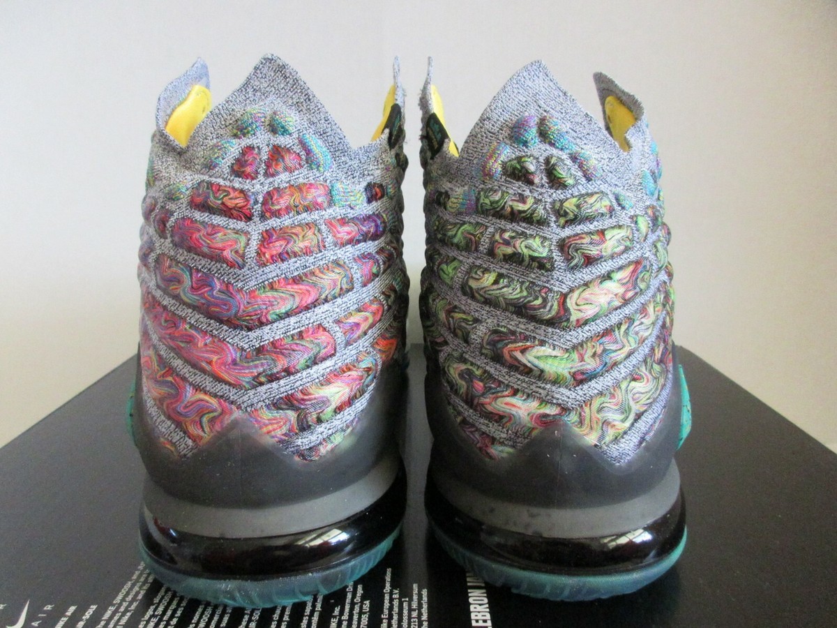 NIKE LEBRON XVII 17 LJFF 