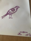 Buffalo Tom 1990 Birdbrain Promo 2-Sided Poster Janovitz Colbourn Maginnis — photo 4