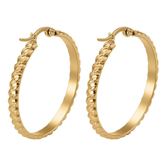 316L Stainless Steel 18K Gold Plated Women Hoop Earrings Fashion Ladies Jewelry eBay