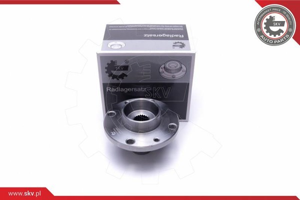 SKV Germany 29SKV454 Radlagersatz FüR Fiat-image