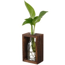 Brown Wooden Glass Bottle Propagation Station Hydroponic Vase for Plants