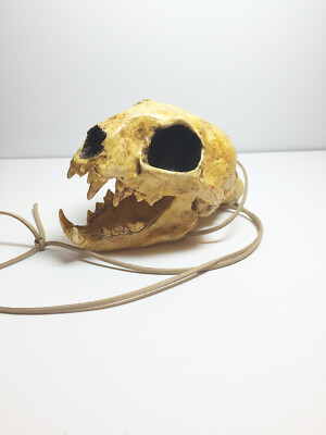 Aztec Death Whistle - The Apex Predator -  Imitates human screams very LOUD