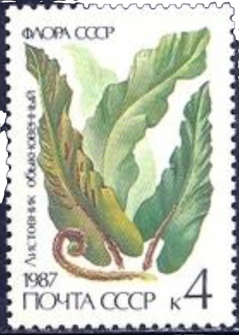 Mint Never Hinged/MNH Plants Russian & Soviet Union Stamps