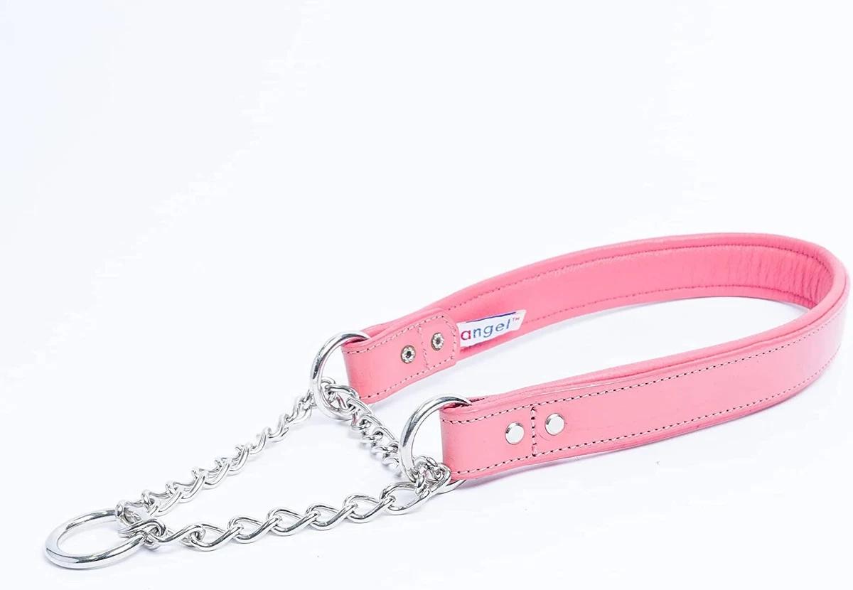 Martingale pinch dog collar cheap