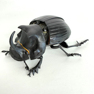 Dung Beetle | eBay
