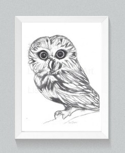 Owl Drawing Owl Art Owl Lover Wall Art Bird Drawing Nursery Pencil Art Ebay