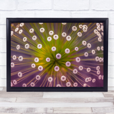 Farben Blume L Lila Bokeh Perspektive Pov Wandbild Kunstdruck