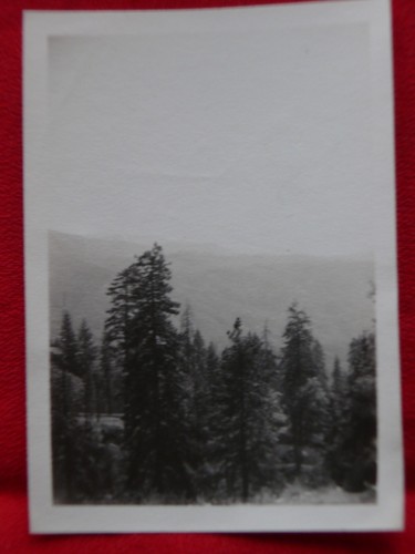 OCHO 1937 Fotórafos Amateur Originales PARQUE NACIONAL SECUOIA Historia de California - Imagen 10 de 12