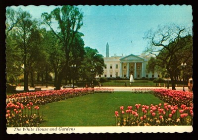 POSTCARD : DISTRICT OF COLUMBIA - WASHINGTON DC - THE WHITE HOUSE