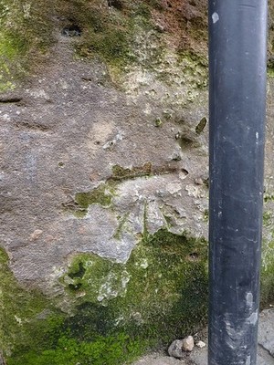 Photo 12x8 OS benchmark - Bewdley, wall on Severn Side South Bewdley/SO78 c2017