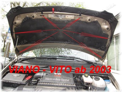 Haubenbra Bonnet Bra Steinschlagschutz Für Mercedes Vito W639 2003-2014