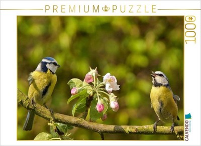 CALVENDO Puzzle Frühlingsmelodie der Blaumeise | 1000 Teile Lege-Größe 64x48cm F