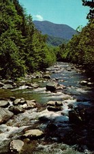 Postcard Little pigeon river, great smoky mountains national park