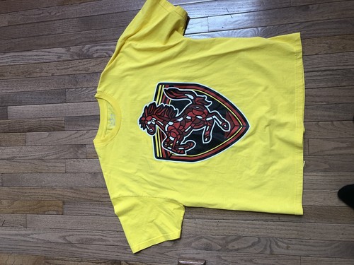 Air Jordan 14 Ferrari Shirt | eBay