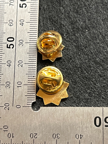 GREATER MANCHESTER POLICE CREST PIN BADGE (TWO SIZES OPTION) - Imagen 4 de 7