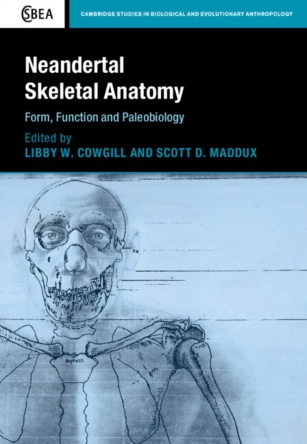 Neandertal Skeletal Anatomy Form, Function and Paleobiology (Hardback Book)