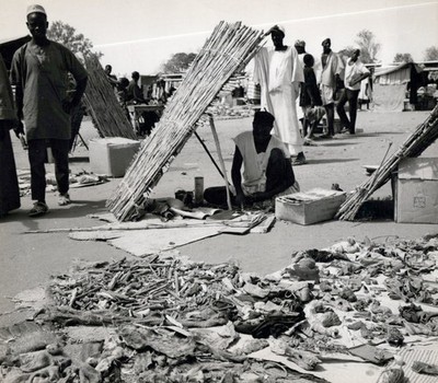 Niger Natural Medicine (1960s)   Vintage Press Photo by Meng Shien-Chuan 975K