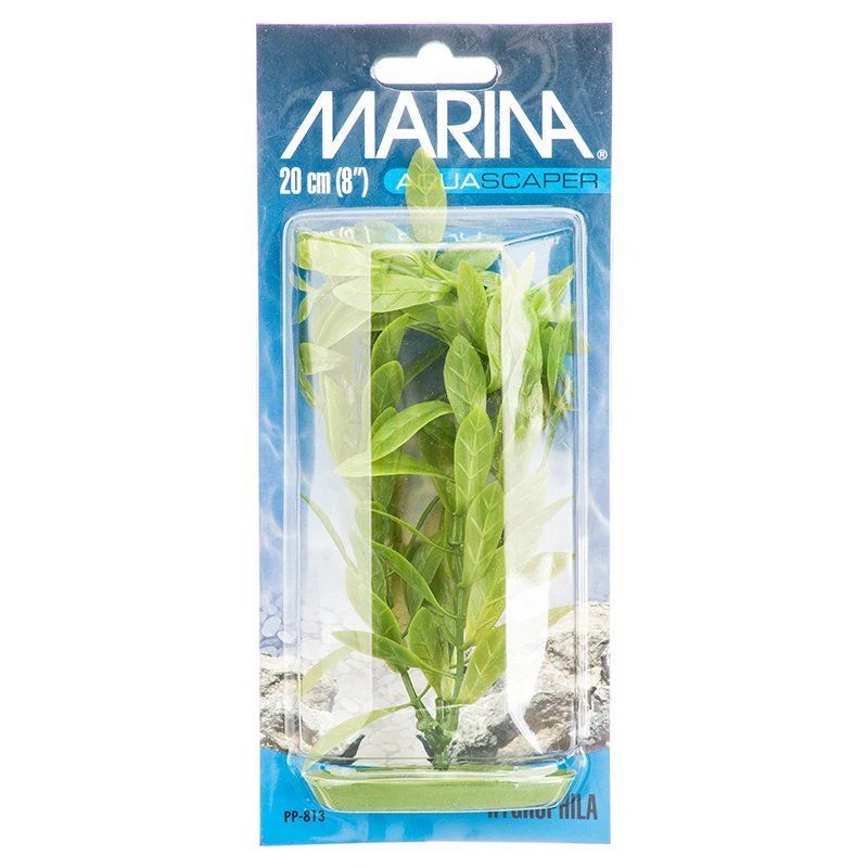 Aquarium, Marina Hygrophila Plant (8" Tall)