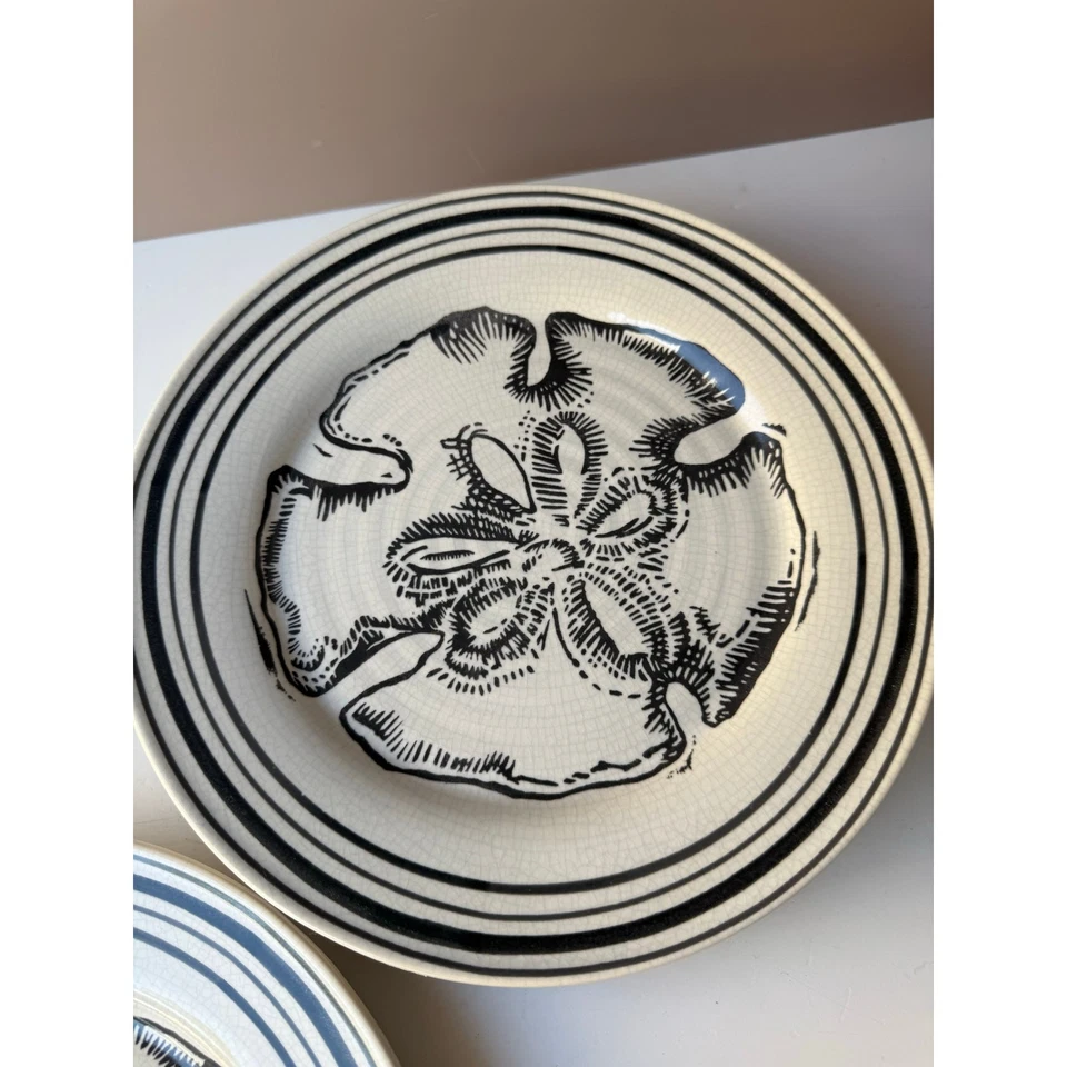 Набор из 4 песчаных долларовых тарелок Pottery Barn | пляж прибрежная морская ширина 9,5 дюйма - Изображение 3 из 4