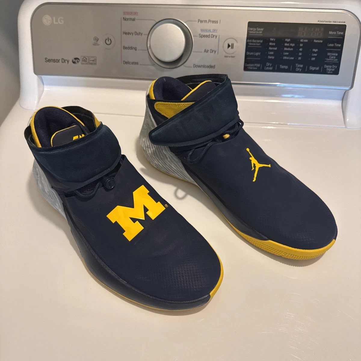 Jordan Why Not Zer0.1 Michigan for Sale | Authenticity Guaranteed