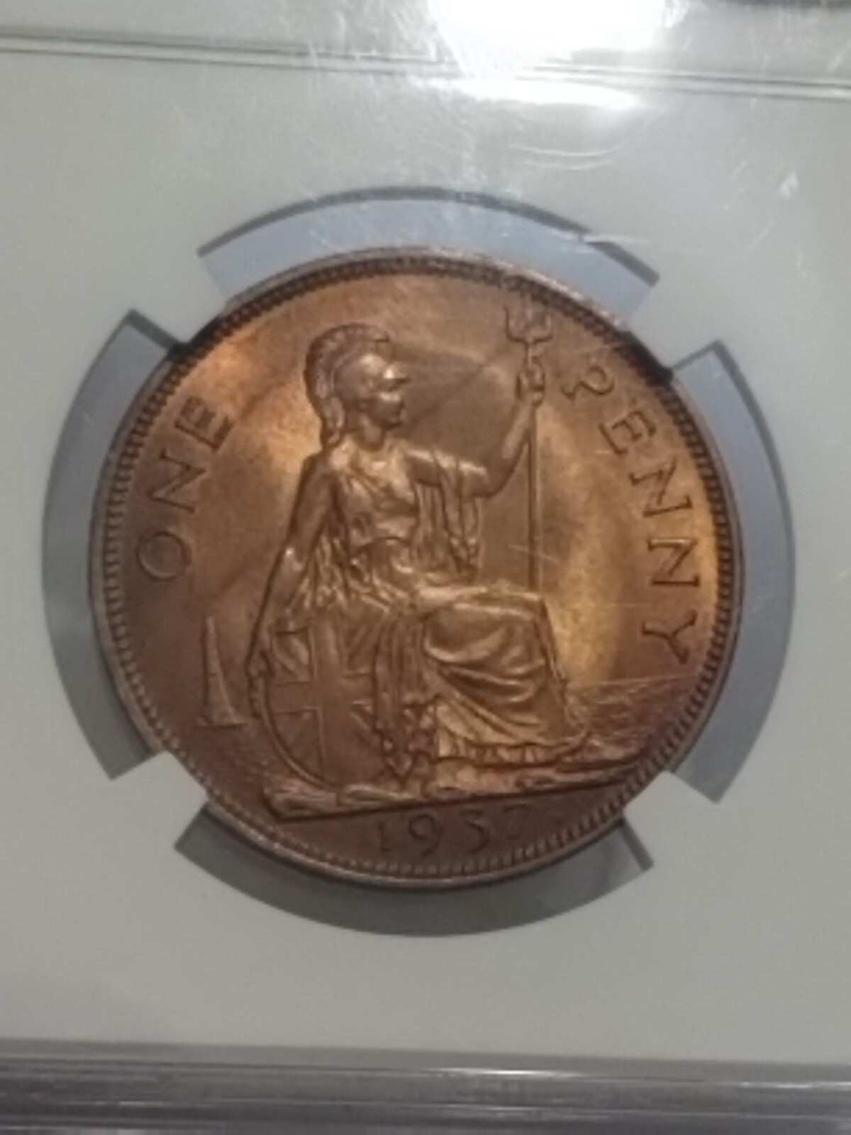 Picture 14 of 19