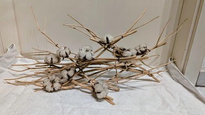 Dekoration mit echter Baumwollkapsel