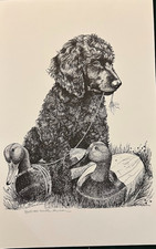 Irish Water Spaniel print by Van Loan 11 x 17 signed