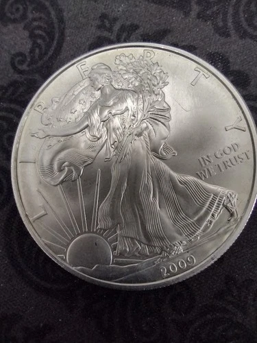 American Silver Eagle 1 Troy Oz. .999 Fine One Dollar Coin 2009 USA Bullion