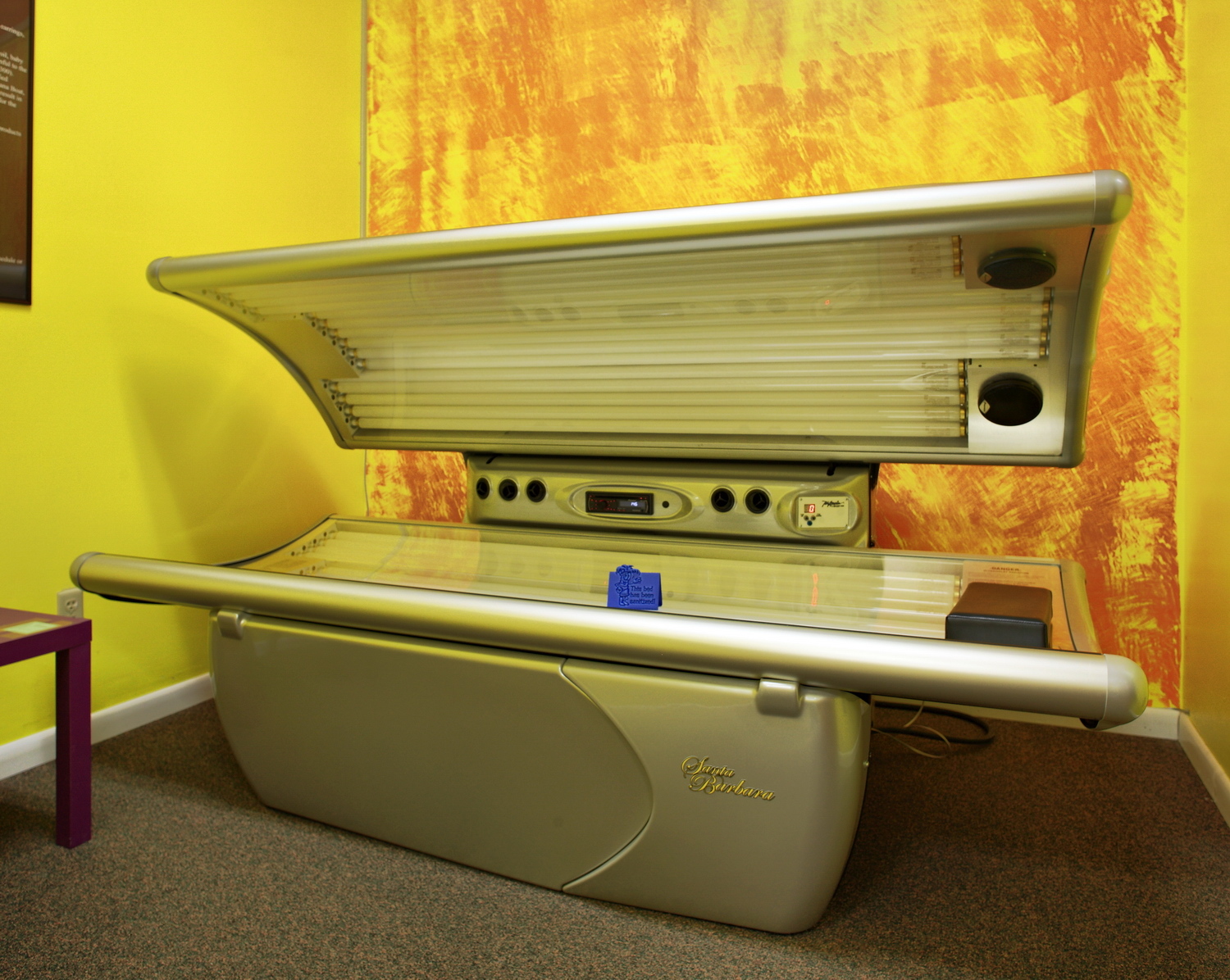 Tan America Santa Barbara Commercial Tanning Bed eBay