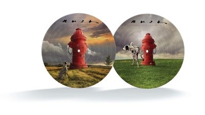 Rush Signals LP Vinyl NEU