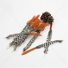Lady Amherst Orange Red Tipped Pheasant Feather Millinery Craft Arts Costume Hat