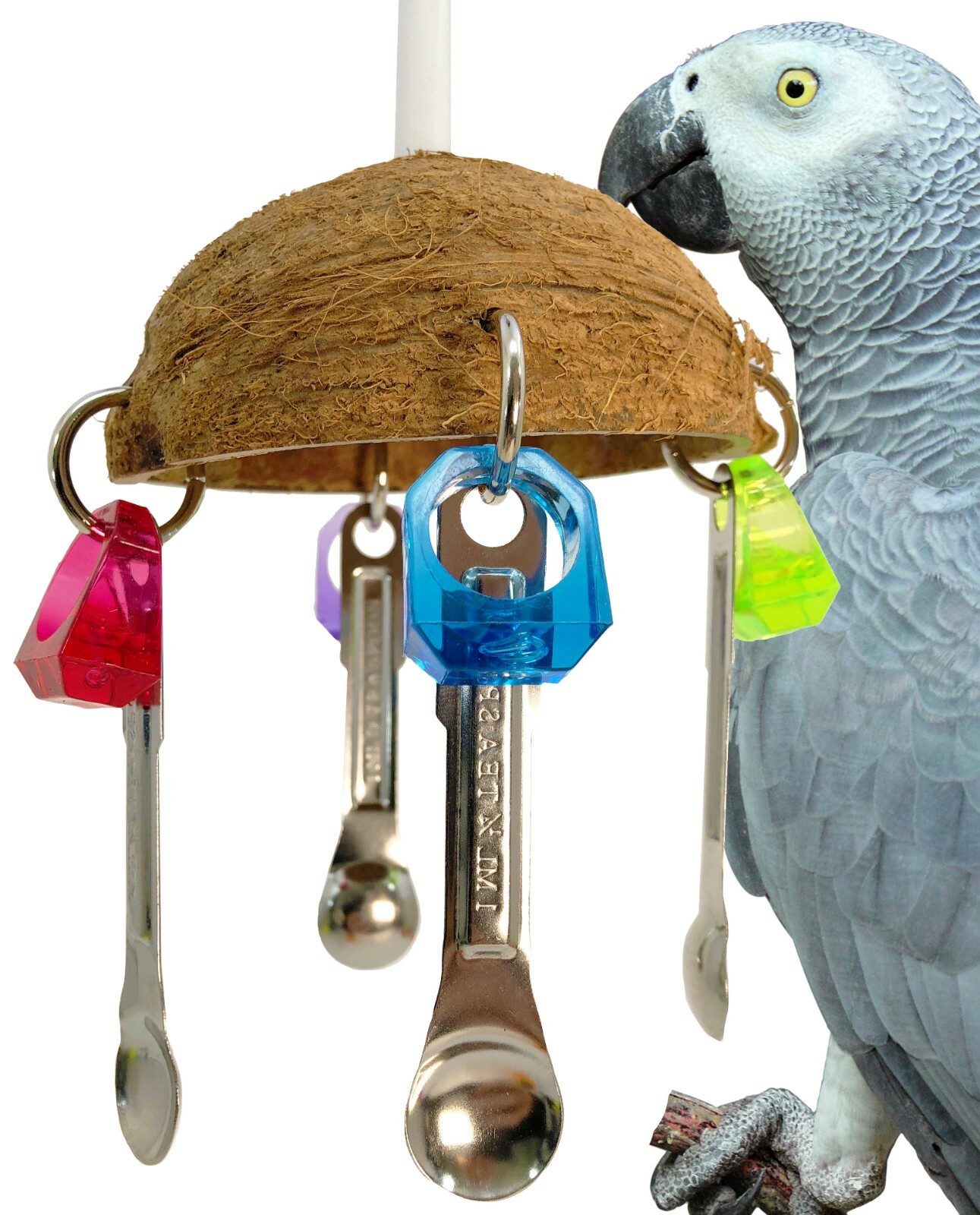 african grey toys and accessories