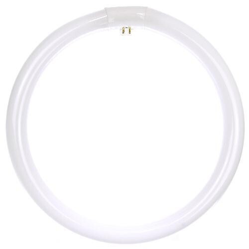 2- Sylvania FC12T9/CW Cool White Fluorescent 32 Watt T9 Circline Lamp Light Bulb