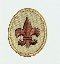 BSA Scout Rank Patch Tan Modern Current Issue Mint Condition