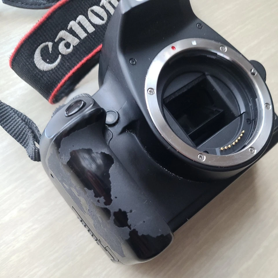 Canon EOS 1000D, photo 4 of 5