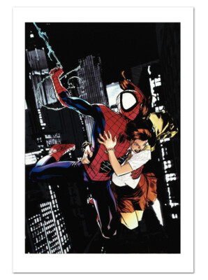 Ultimatum Spider-Man Requiem #1 Canvas Giclee Art Stuart Immonen Marvel Artworks