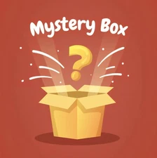 Resellers Mystery Box Assorted Items New Used Vintage All Resellable Inventory 