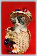 Vintage Kitten in Basket with Flowers Unposted Tichnor Bros Postcard