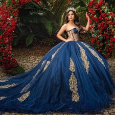 Sweetheart Quinceanera Dresses Tulle Court Train Lace up Ball Gown Princesse