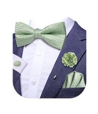 Bowtie for Men Paisley Floral Mens Pretied Bowtie and Lapel Light Sage Green