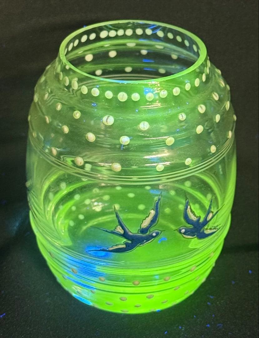 Antique Art Deco Vaseline Glass Jar Enamel Swallow Bird Decor JP