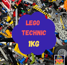 LEGO Technic 1 Kg Bundle - Job