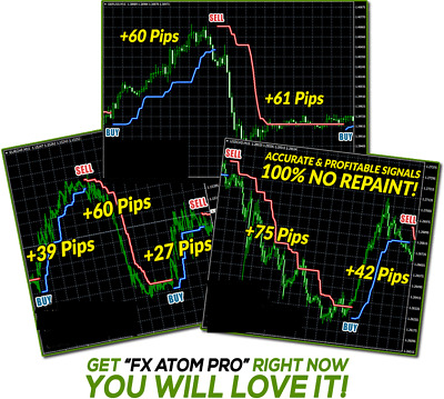 Forex trading system development