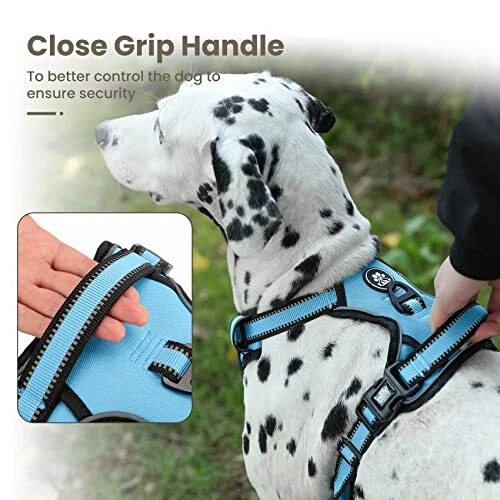Dog Harness | No Pull Dog Harness | Reflective Oxford | Padded Large Blue