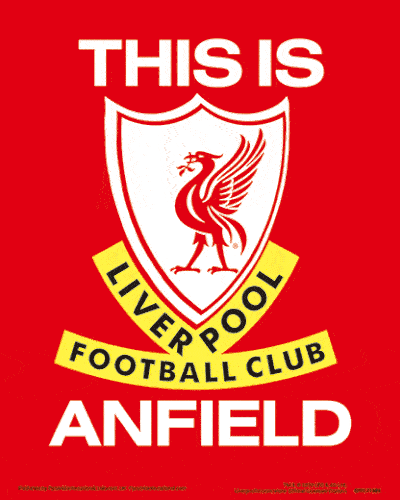 Liverpool FC 3D Print Official Merchandise - Zdjęcie 1 z 3