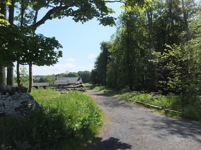 Photo A2 Track to Synton  c2013