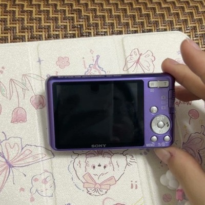 SONY Cyber shot DSC-W630 Digital Camera 16.1 MP 5x Optical Zoom