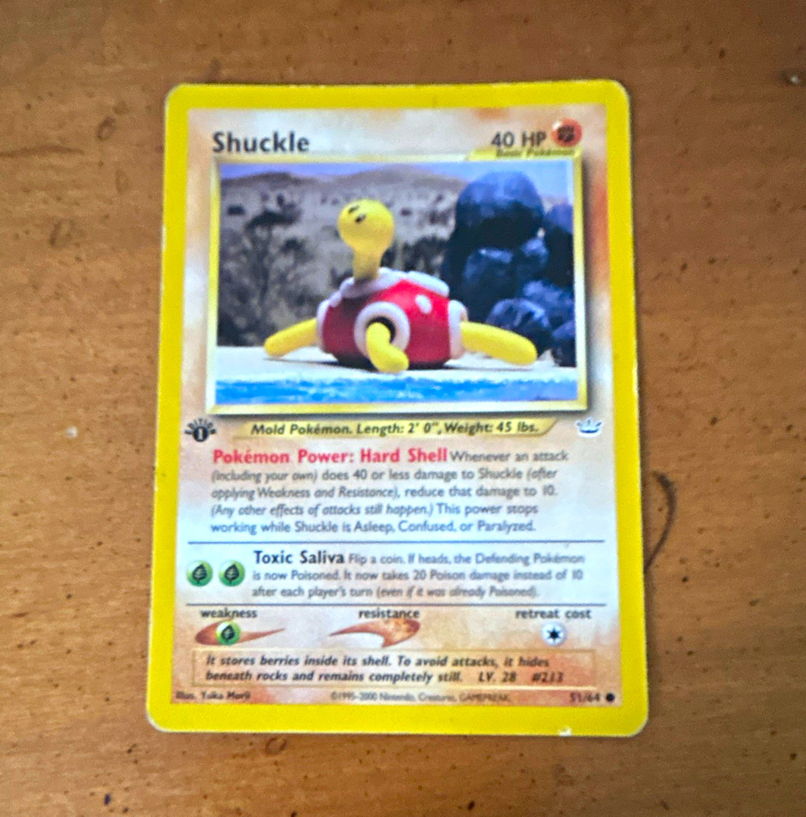 Pokemon TCG Shuckle 51/64 Neo Revelation Regular first edition Rare 40 HP
